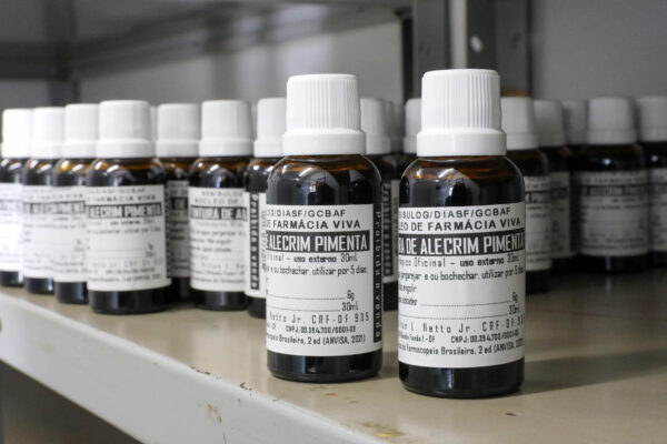 Cura que brota do chão: Farmácia Viva do DF produz medicamento natural para dor de garganta