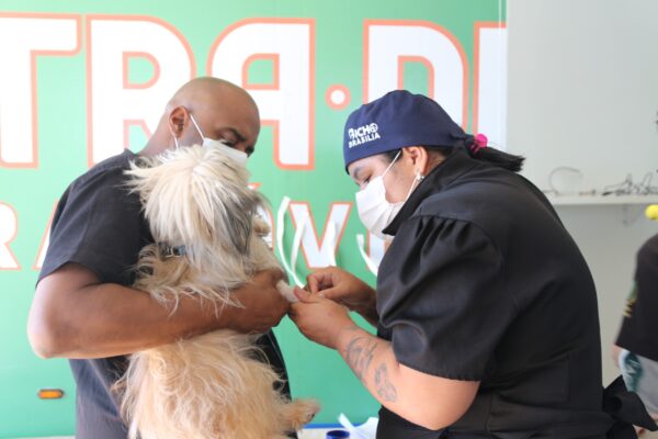Castra-DF realiza centenas de cirurgias gratuitas em Sobradinho e amplia acesso à saúde animal