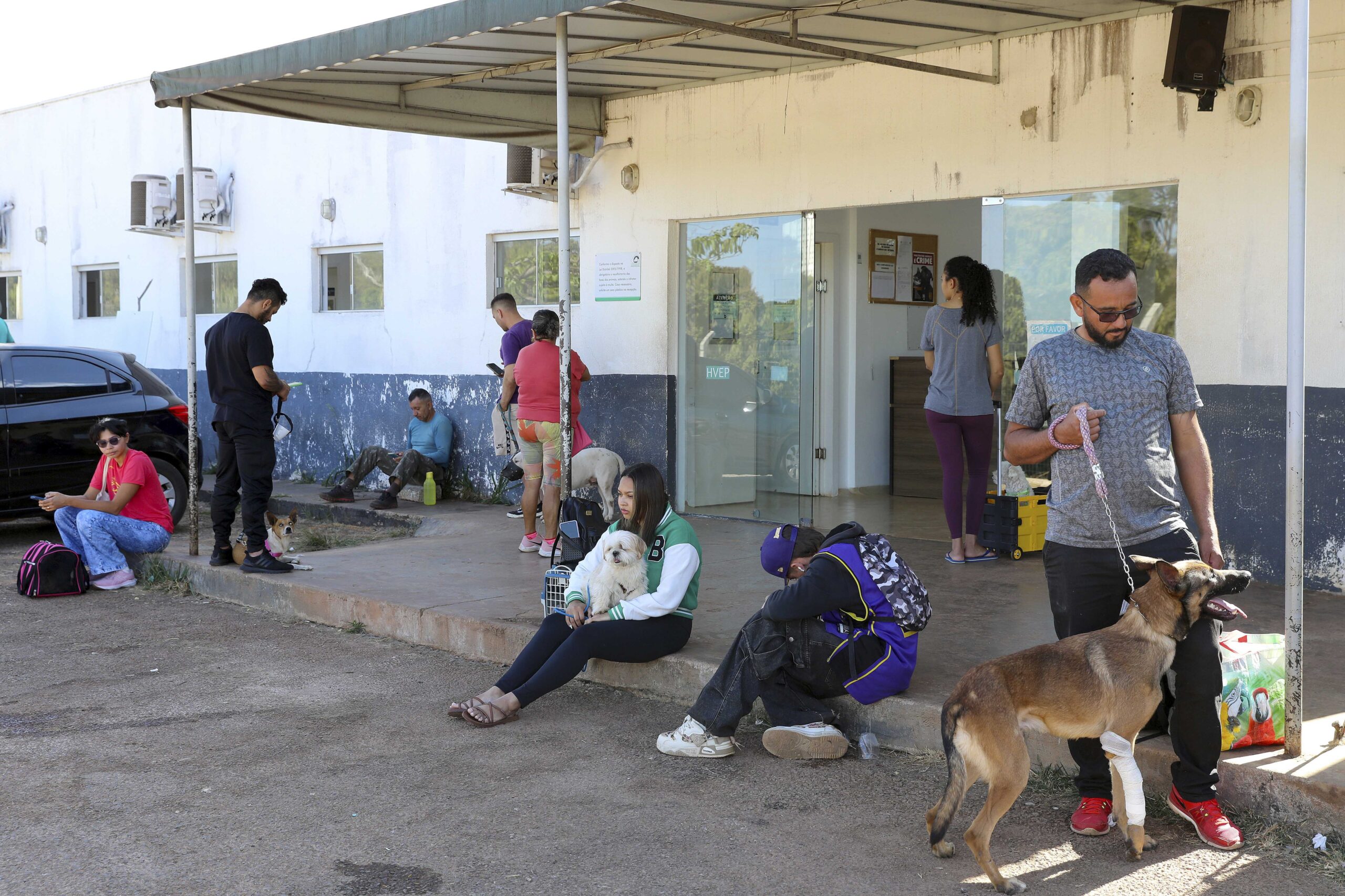 Hospital Veterinário Público do DF registra cerca de 10 mil atendimentos no primeiro semestre de 2025