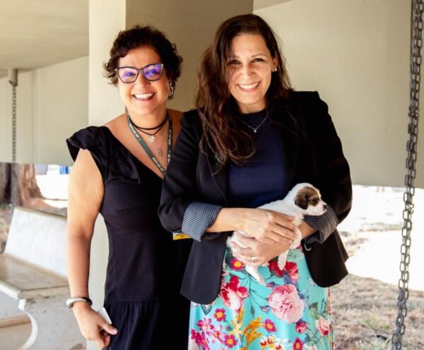 Feira Pet na passarela do Anexo do Buriti é chance responsável para cães e gatos serem adotados