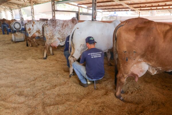 Agronegócio e cultura no coração da capital: 33ª Expoabra divulga programação