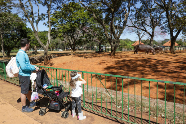 Dia das Crianças terá programação gratuita com diversão, arte, música, cinema e literatura